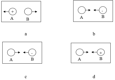 Bài tập về hai loại điện tích cực hay (có lời giải)