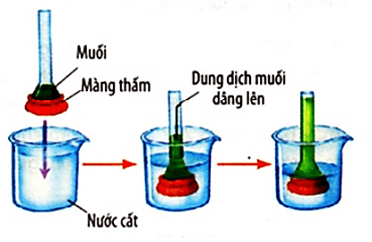 Trắc nghiệm Vật Lí 8 Bài 20 (có đáp án): Nguyên tử, phân tử chuyển động hay đứng yên?