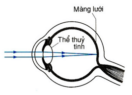 Các dạng bài tập về mắt