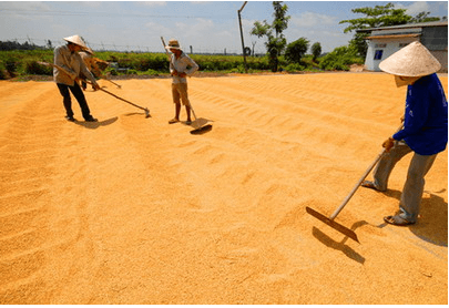 Các ứng dụng của ánh sáng trong thực tiễn