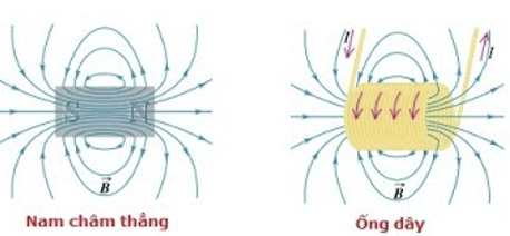 Cách xác định chiều của đường sức từ cực hay