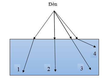 Cách xác định đường đi của tia sáng trong môi trường truyền sáng cực hay