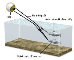 Cách xác định đường đi của tia sáng trong môi trường truyền sáng cực hay