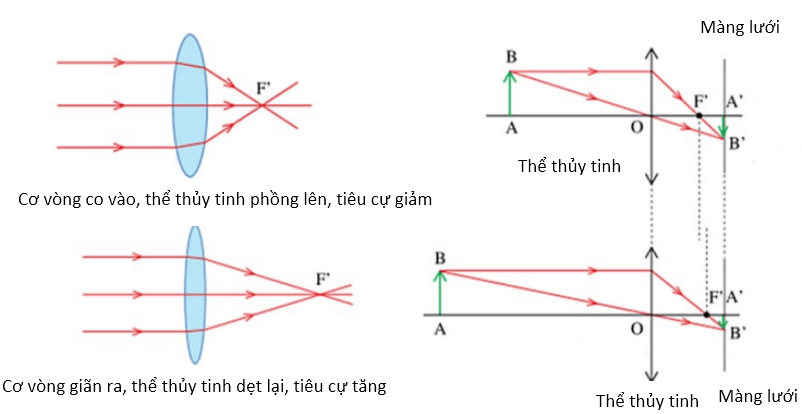 Vật Lí lớp 9 | Tổng hợp Lý thuyết - Bài tập Vật Lý 9 có đáp án