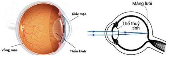 Phương pháp giải bài tập về Mắt lớp 9 cực hay