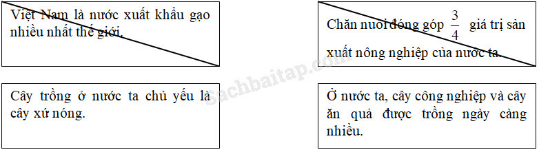 Vở bài tập Địa Lí lớp 5 Bài 10: Nông nghiệp | Giải VBT Địa Lí 5