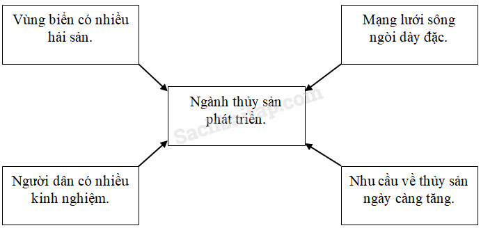 Vở bài tập Địa Lí lớp 5 Bài 11: Lâm nghiệp và thủy sản | Giải VBT Địa Lí 5