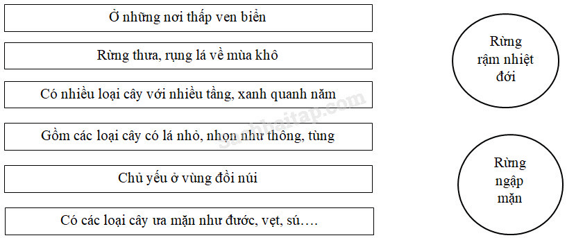 Vở bài tập Địa Lí lớp 5 Bài 6: Đất và rừng | Giải VBT Địa Lí 5