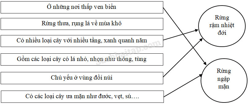 Vở bài tập Địa Lí lớp 5 Bài 6: Đất và rừng | Giải VBT Địa Lí 5