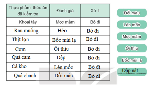 Vở bài tập Hoạt động trải nghiệm lớp 3 Tuần 22 trang 46, 47, 48: Ăn sạch, Thực phẩm sạch  | Kết nối tri thức