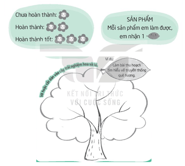 Vở bài tập Hoạt động trải nghiệm lớp 3 Tuần 27 trang 56, 57: Giúp đỡ người khuyết tật, Đồng cảm với người khuyết tật | Kết nối tri thức