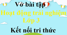 Vở bài tập Hoạt động trải nghiệm lớp 3 Kết nối tri thức | Giải vở bài tập Hoạt động trải nghiệm lớp 3 | Giải VBT Hoạt động trải nghiệm lớp 3 | VBT HĐTN lớp 3 KNTT