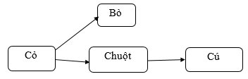 Vở bài tập Khoa học lớp 4 Cánh diều Bài 23: Vai trò của thực vật trong chuỗi thức ăn