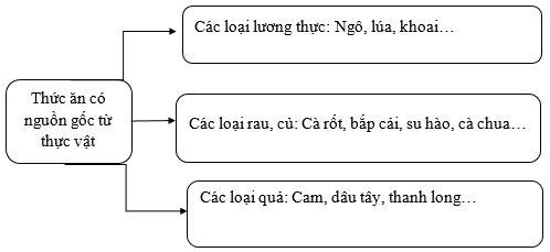 Vở bài tập Khoa học lớp 4 Cánh diều Bài 23: Vai trò của thực vật trong chuỗi thức ăn