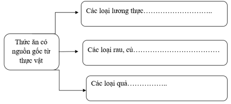 Vở bài tập Khoa học lớp 4 Cánh diều Bài 23: Vai trò của thực vật trong chuỗi thức ăn