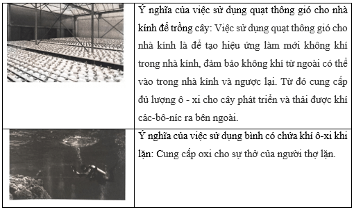 Vở bài tập Khoa học lớp 4 Cánh diều Bài 6: Vai trò của không khí và bảo vệ môi trường không khí 