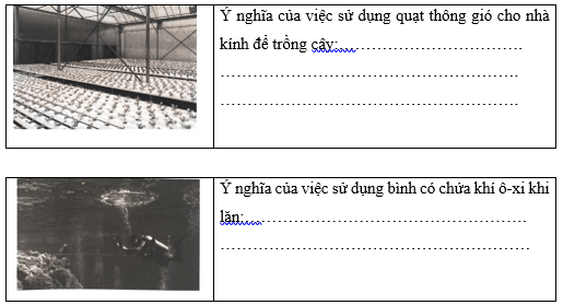 Vở bài tập Khoa học lớp 4 Cánh diều Bài 6: Vai trò của không khí và bảo vệ môi trường không khí 