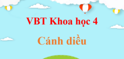 Vở bài tập Khoa học lớp 4 Cánh diều | Giải vở bài tập Khoa học lớp 4 (hay nhất)