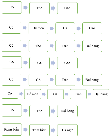 Vở bài tập Khoa học lớp 4 Cánh diều Ôn tập chủ đề Sinh vật và môi trường