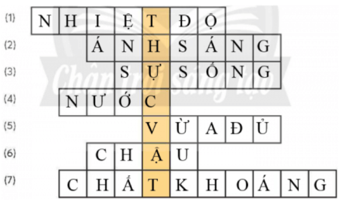 Vở bài tập Khoa học lớp 4 Chân trời sáng tạo Bài 15: Thực vật cần gì để sống và phát triển