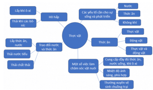 Vở bài tập Khoa học lớp 4 Chân trời sáng tạo Bài 18: Ôn tập chủ đề thực vật và động vật