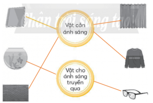 Vở bài tập Khoa học lớp 4 Chân trời sáng tạo Bài 8: Nguồn sáng và sự truyền ánh sáng