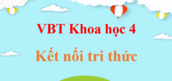 Vở bài tập Khoa học lớp 4 Kết nối tri thức | Giải VBT Khoa học lớp 4 (hay nhất)