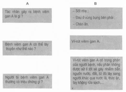 Vở bài tập Khoa học lớp 5 Bài 15: Phòng bệnh viêm gan A | Giải VBT Khoa học 5