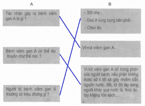 Vở bài tập Khoa học lớp 5 Bài 15: Phòng bệnh viêm gan A | Giải VBT Khoa học 5