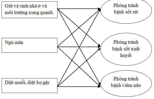 Vở bài tập Khoa học lớp 5 Bài 20-21: Ôn tập: Con người và sức khỏe | Giải VBT Khoa học 5