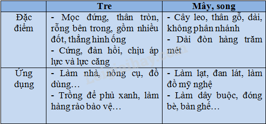 Vở bài tập Khoa học lớp 5 Bài 22: Tre, mây, song | Giải VBT Khoa học 5