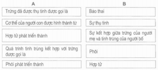 Vở bài tập Khoa học lớp 5 Bài 4: Cơ thể chúng ta được hình thành như thế nào? | Giải VBT Khoa học 5