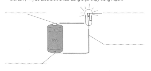 Vở bài tập Khoa học lớp 5 Bài 46-47: Lắp mạch điện đơn giản | Giải VBT Khoa học 5