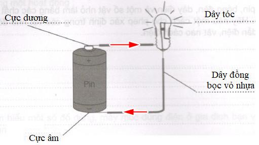 Vở bài tập Khoa học lớp 5 Bài 46-47: Lắp mạch điện đơn giản | Giải VBT Khoa học 5