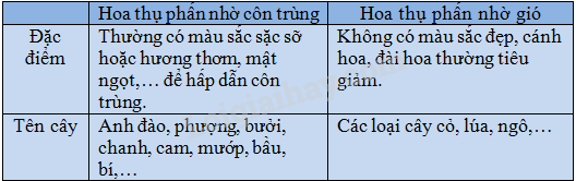 Vở bài tập Khoa học lớp 5 Bài 52: Sự sinh sản của thực vật có hoa | Giải VBT Khoa học 5