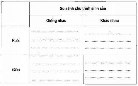 Vở bài tập Khoa học lớp 5 Bài 56: Sự sinh sản của côn trùng | Giải VBT Khoa học 5