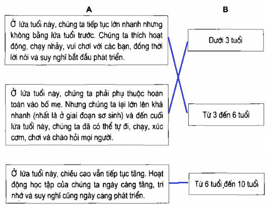 Vở bài tập Khoa học lớp 5 Bài 6: Từ lúc mới sinh ra đến tuổi dậy thì | Giải VBT Khoa học 5