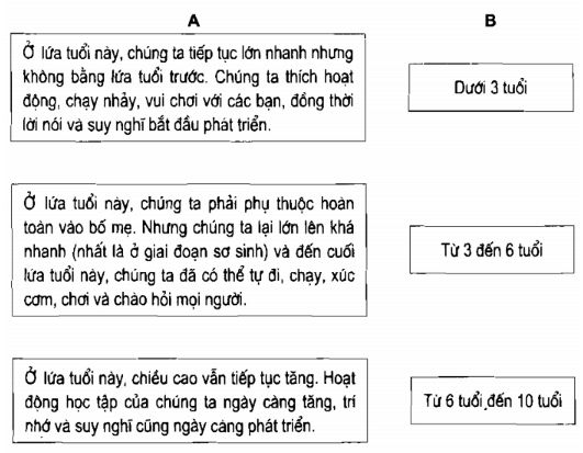 Vở bài tập Khoa học lớp 5 Bài 6: Từ lúc mới sinh ra đến tuổi dậy thì | Giải VBT Khoa học 5