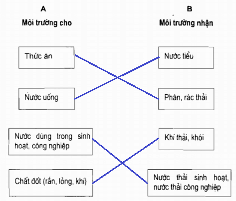 Vở bài tập Khoa học lớp 5 Bài 64: Vai trò của môi trường tự nhiên đối với đời sống con người | Giải VBT Khoa học 5