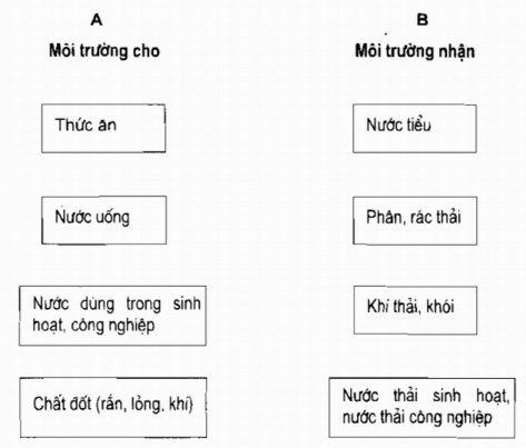 Vở bài tập Khoa học lớp 5 Bài 64: Vai trò của môi trường tự nhiên đối với đời sống con người | Giải VBT Khoa học 5