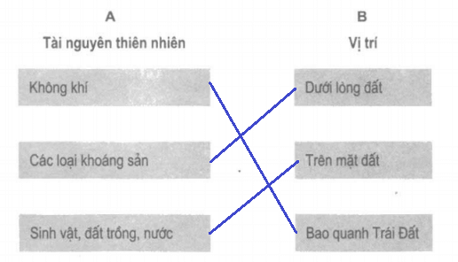 Vở bài tập Khoa học lớp 5 Bài 70: Ôn tập và kiểm tra cuối năm | Giải VBT Khoa học 5