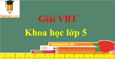 Vở bài tập Khoa học lớp 5 | Giải Vở bài tập Khoa học lớp 5