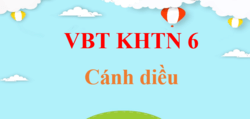 VBT KHTN 6 Cánh diều | Giải Vở bài tập Khoa học tự nhiên 6 (hay, ngắn gọn)