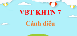 VBT KHTN 7 Cánh diều | Giải Vở bài tập Khoa học tự nhiên 7 (hay, ngắn gọn)