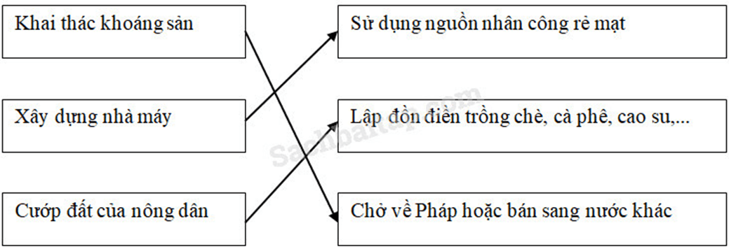 Vở bài tập Lịch Sử lớp 5 Bài 4: Xã hội Việt Nam cuối thế kỉ XIX – đầu thế kỉ XX | Giải VBT Lịch Sử 5