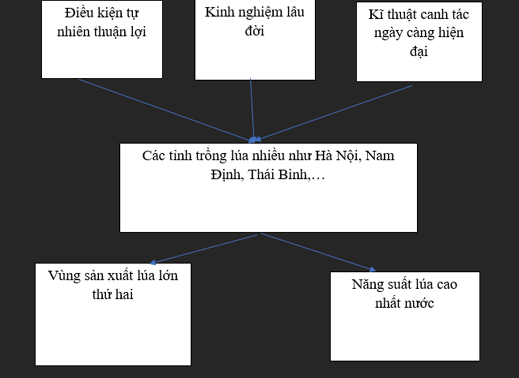 Vở bài tập Lịch Sử và Địa Lí lớp 4 Chân trời sáng tạo Bài 9: Dân cư và hoạt động sản xuất ở vùng đồng bằng Bắc Bộ