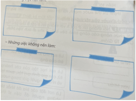 Vở bài tập Lịch Sử và Địa Lí lớp 4 Kết nối tri thức Bài 13: Văn Miếu – Quốc Tử Giám