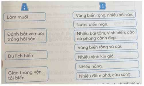 Vở bài tập Lịch Sử và Địa Lí lớp 4 Kết nối tri thức Bài 16: Dân cư và hoạt động sản xuất ở vùng Duyên hải miền Trung