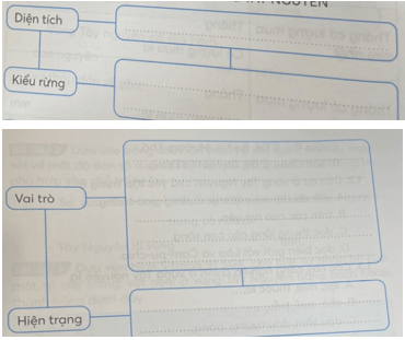 Vở bài tập Lịch Sử và Địa Lí lớp 4 Kết nối tri thức Bài 20: Thiên nhiên vùng Tây Nguyên