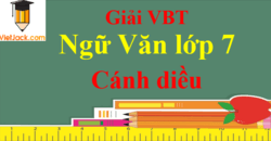 Vở bài tập Ngữ Văn 7 Cánh diều | Giải VBT Ngữ văn 7 Tập 1, Tập 2 hay, ngắn gọn